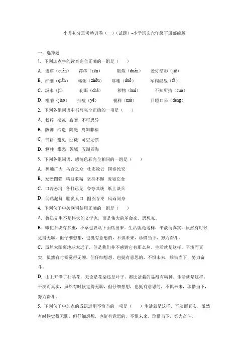 小升初分班考特训卷(一)(试题)部编版语文六年级下册