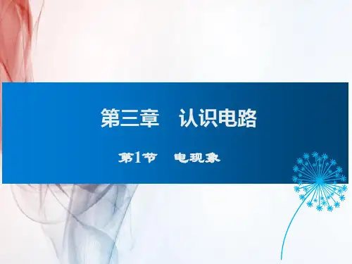 教科版九年级物理第1节 电现象课件