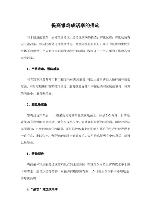 提高雏鸡成活率的措施
