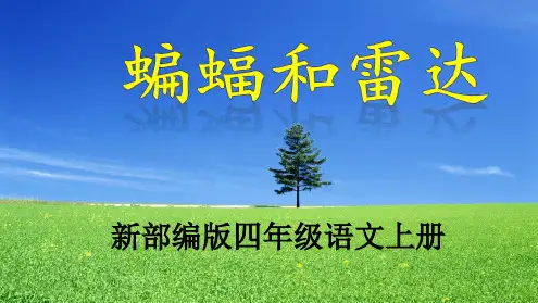《蝙蝠和雷达》最新ppt课件
