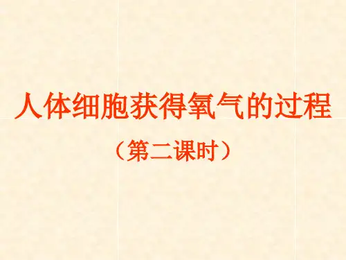 人体细胞获得氧气的过程 PPT课件