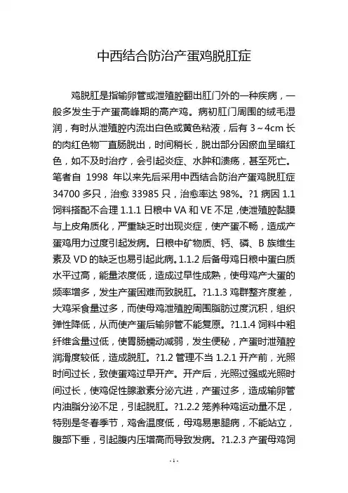 中西结合防治产蛋鸡脱肛症