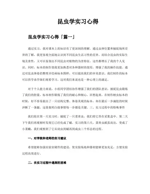 昆虫学实习心得