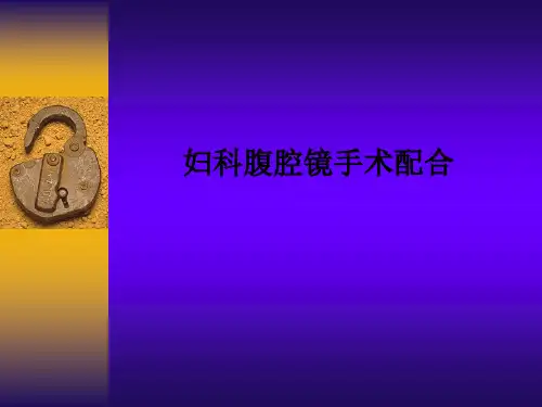 妇科腹腔镜手术配合PPT课件