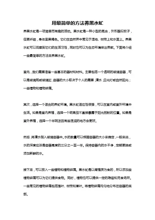 用最简单的方法养黑水虻