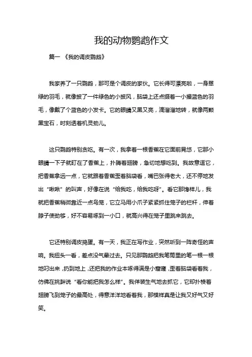 我的动物鹦鹉作文