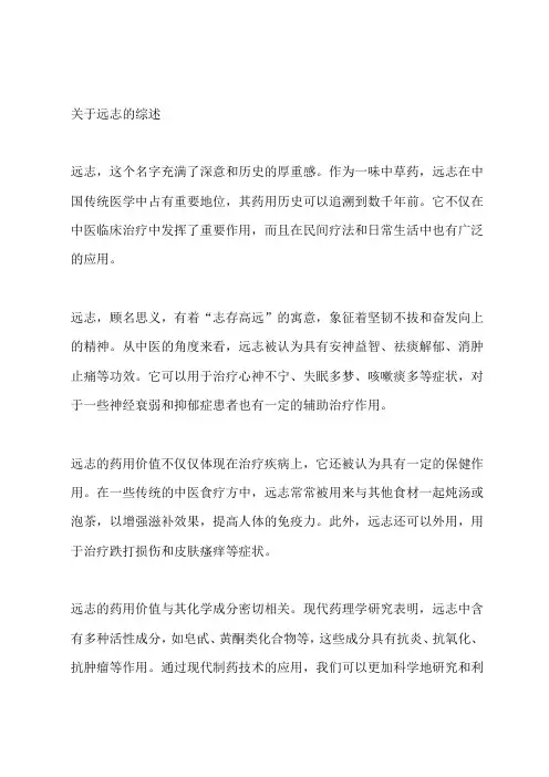 关于远志的综述