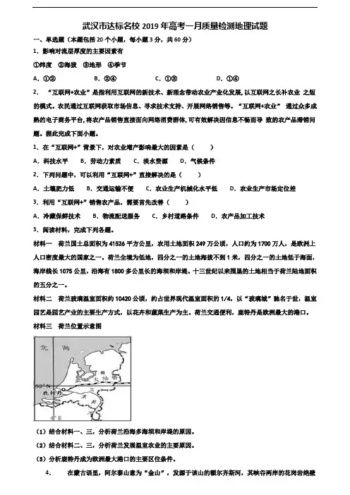 武汉市达标名校2019年高考一月质量检测地理试题含解析