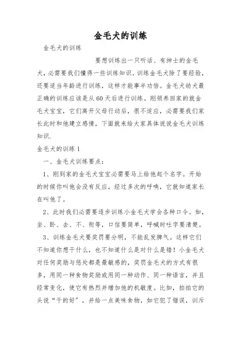 金毛犬的训练
