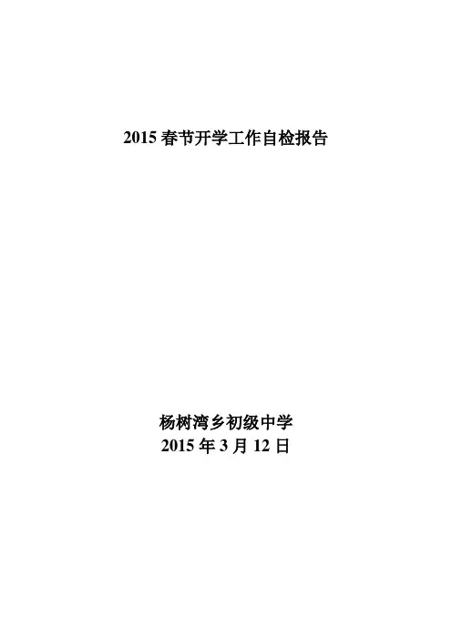 2015春节开学工作自检报告