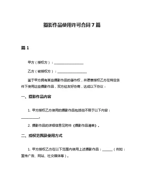 摄影作品使用许可合同7篇