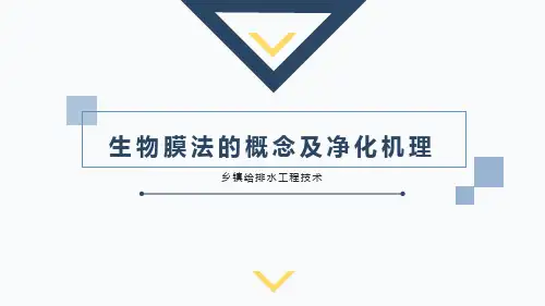 乡镇给排水：生物膜法概念及净化机理