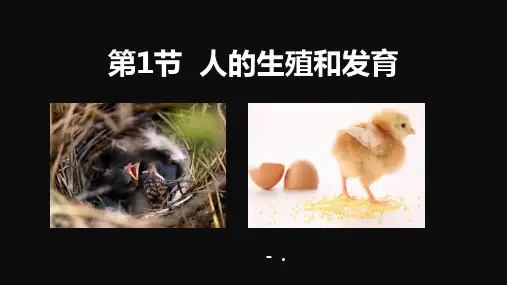 《人的生殖和发育》PPT教学课件
