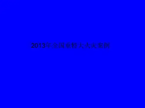 2013年全国重特大火灾案例