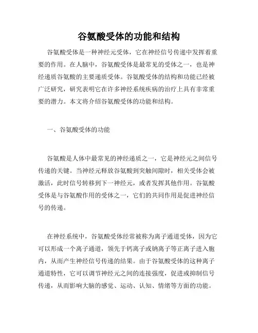 谷氨酸受体的功能和结构