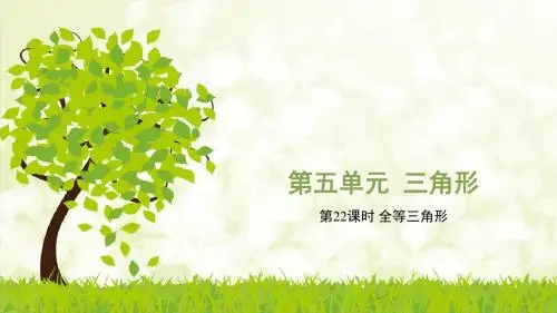 2018年安徽中考数学复习课件5.4 全等三角形(安徽)