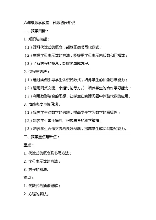六年级数学教案：代数初步知识