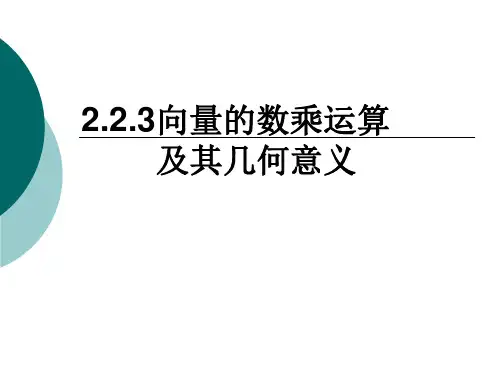 向量的数乘运算及其几何意义