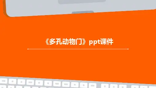 《多孔动物门》课件