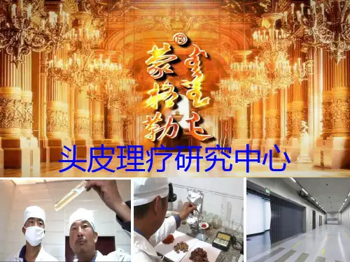 头皮专业报告书ppt课件