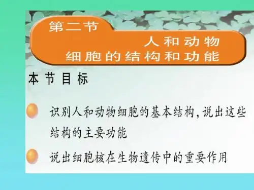 【初中生物】人和动物细胞的结构和功能ppt