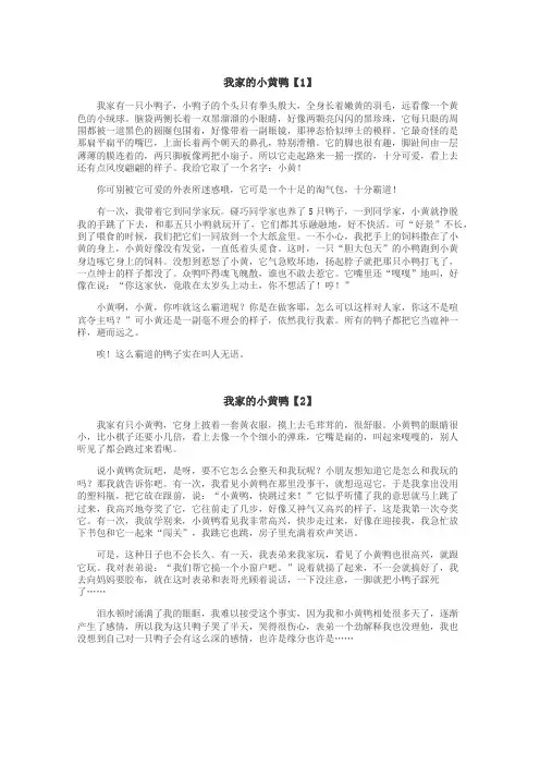 我家的小黄鸭作文
