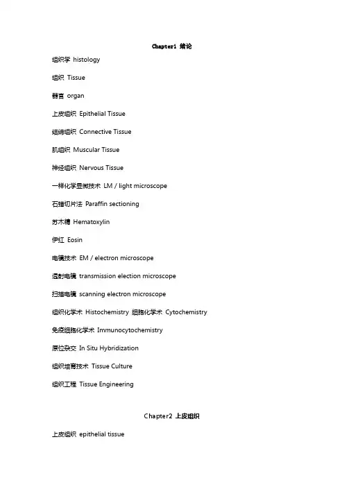 组织学与胚胎学重要英文注释