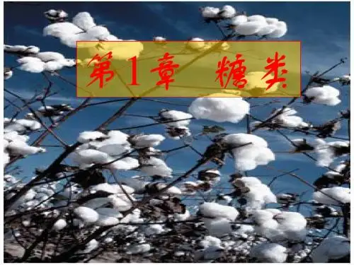 王镜岩 生物化学 经典课件 1糖1的生物化学1 考研必备 学生物化学必备