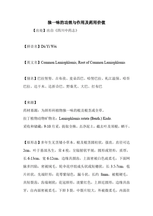 独一味的功效与作用及药用价值
