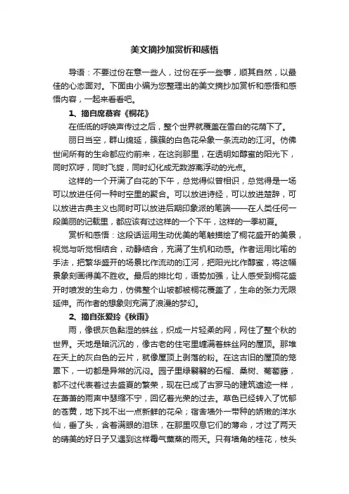 美文摘抄加赏析和感悟
