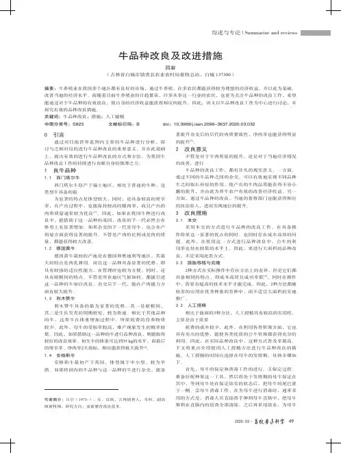 牛品种改良及改进措施