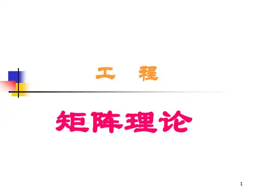 工程矩阵理论(2009)(工科硕士)