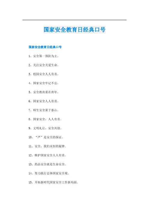 国家安全教育日经典口号