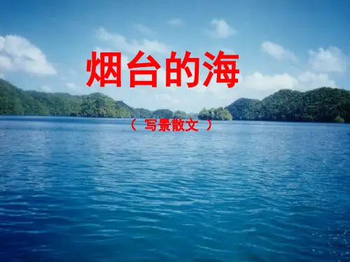 烟台的海PPT.