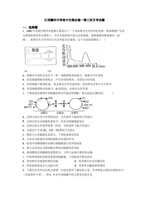 江西赣州中学高中生物必修一第三次月考试题