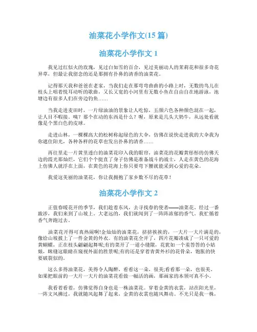 油菜花小学作文(15篇)