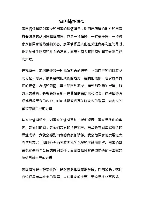 家国情怀感受