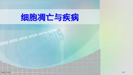 细胞凋亡和疾病
