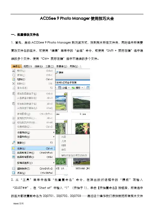 ACDSee使用技巧大全