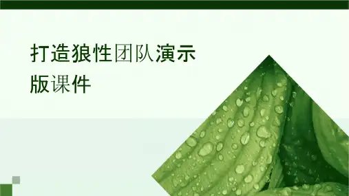打造狼性团队演示版课件