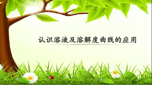 【初中化学】认识溶液及溶解度曲线的应用PPT课件 人教版