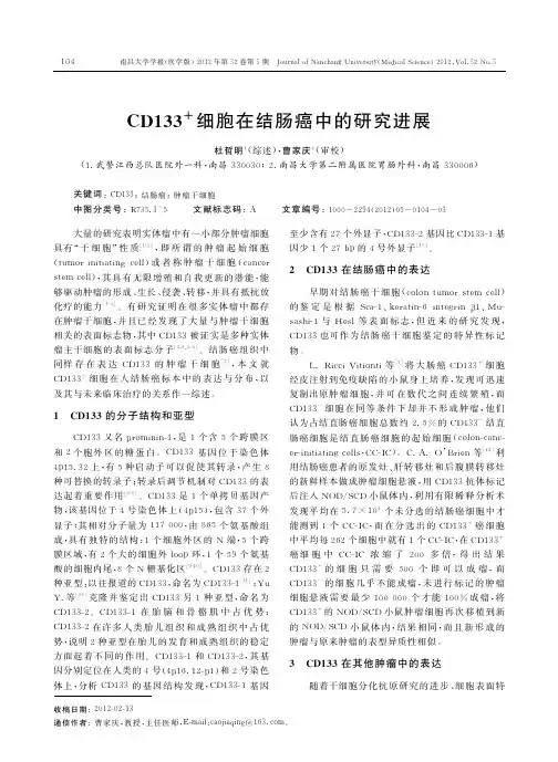 CD133_细胞在结肠癌中的研究进展