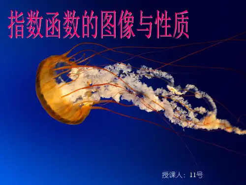 指数函数图像及其性质(11号)PPT课件