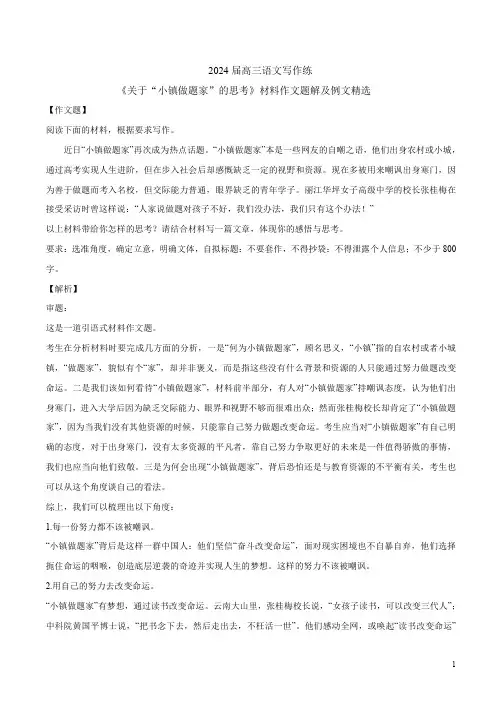 2024届高三语文写作练 《关于“小镇做题家”的思考》材料作文题解及例文精选