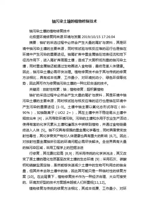 铀污染土壤的植物修复技术