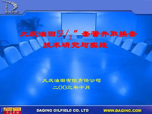 套管井取换套技术一