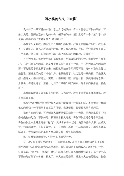 写小猫的作文(10篇)