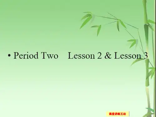 北师大版高中英语必修2 Unit 6《Design》(Period 2)ppt课件