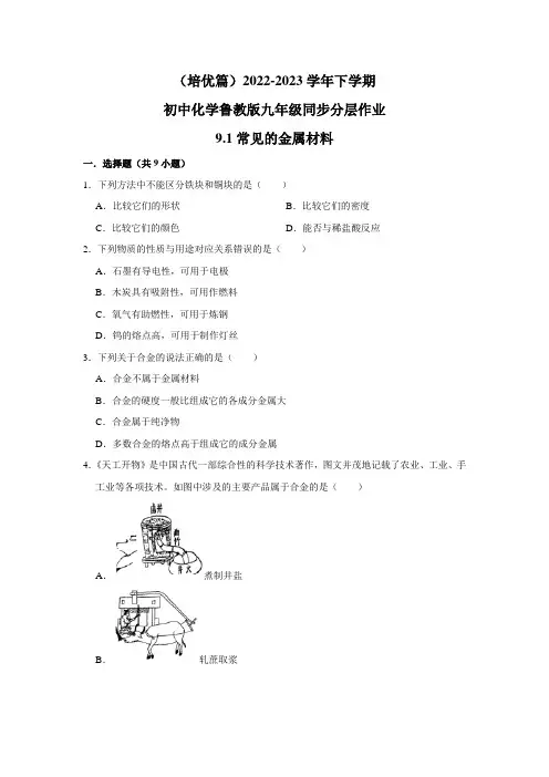 (培优篇)2022-2023学年下学期初中化学鲁教版九年级同步分层作业9