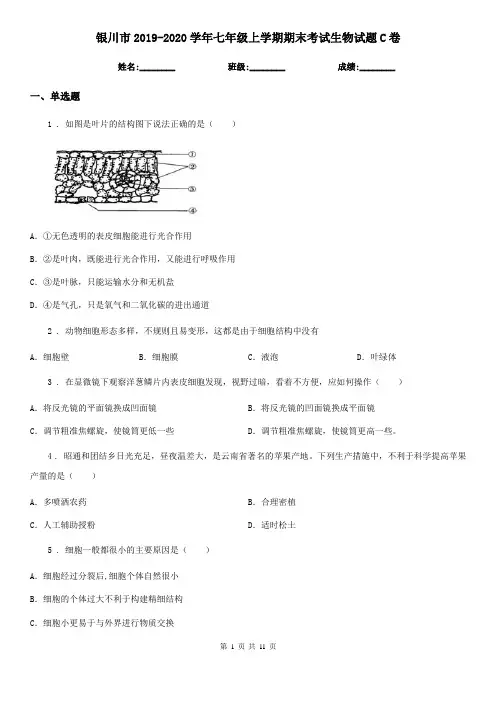 银川市2019-2020学年七年级上学期期末考试生物试题C卷-1